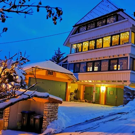 Haushälfte Ca 290 Qm Luxus Zur Alleinnutzung Löffingen