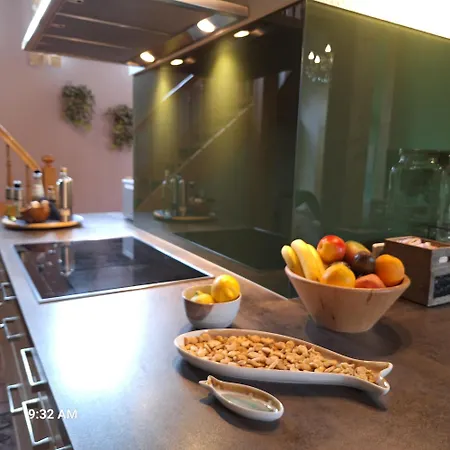 Haushaelfte Ca 290 Qm Luxus Zur Alleinnutzung Lejlighed