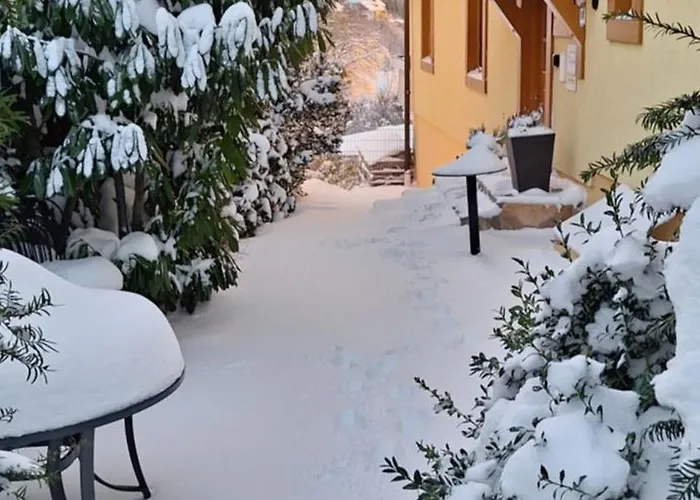 Haushälfte Ca 290 Qm Luxus Zur Alleinnutzung Apartment *